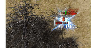 冰雪单职业手游如何干掉‘狐狸怪物’