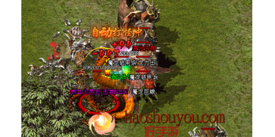 火灵王BOSS掉落出职业一样的装备玩家如何转换？