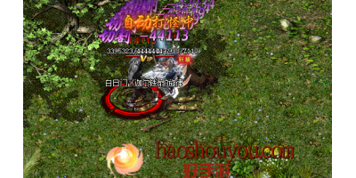 单职业​传奇手游的都体现出哪些方面