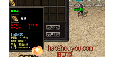 道士飓风破：打金服手游中的等级无